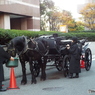 馬車