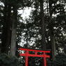 箱根神社Ⅱ