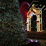 港町はクリスマスでした。