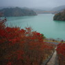OLD LENS  津久井湖