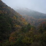 OLD LENS  津久井湖　Ⅱ