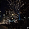 丸の内イルミネーション3