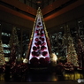 クリスマスツリー3