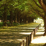 Arch of green