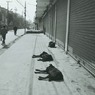カトマンズ　のたくり犬　2007-12