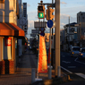 写真句：夕照 ：NTW 99 写真句歌