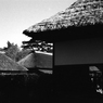 村の光景