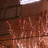 ありがとう