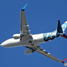 ✈プライベート機ウィルミントン・T・C☮７３７✈N737ER飛ぶ！