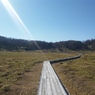 遊歩道を歩く