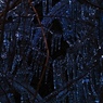氷麗Ⅰ