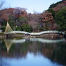 OLD LENS  町田薬師池公園