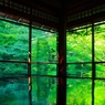 風が吹く
