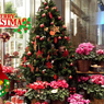 ☆メリーX'mas4