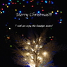 Merry Christmas!