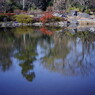 OLD LENS  昭和記念公園　Ⅱ