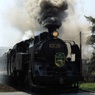 Steam Locomotive 函館大沼号