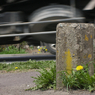 photo_741416