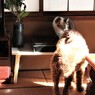 今年もよろしく