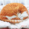 今日は特別寒かった
