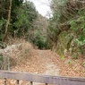 P1042638
