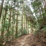 P1042641