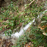 P1042662