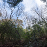 P1042676