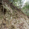 P1042678