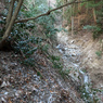 P1042689