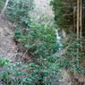 P1042692