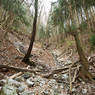 P1042764