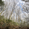 P1042789