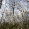 P1042811