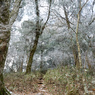P1042845