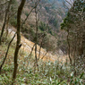 P1042865