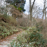 P1042868