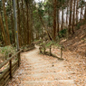 P1042875