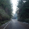 P1072887