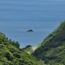 奄美の自然と人工物 No.3