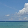奄美の海No.15