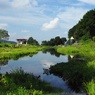 池のある風景