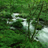 photo_743266