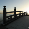 桂浜の朝
