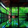 急ぐだけが人生ではない