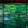 私の歩みは遅いが、歩んだ道を引き返すことはない