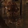 わたしはここに生きる