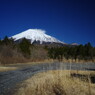 仲春　富士山