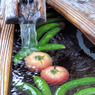 夏の風物詩