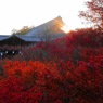 朝霧立つ